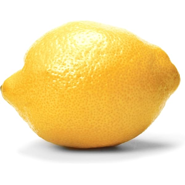 Amazon.com: Meyer Lemons (Meyer Lemons 24 Pc's) : Grocery